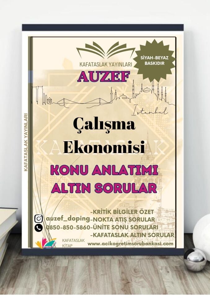 Çalışma Ekonomisi AUZEF İstanbul Üniversitesi Nokta Atışı Sorular Kafataslak Yayınları