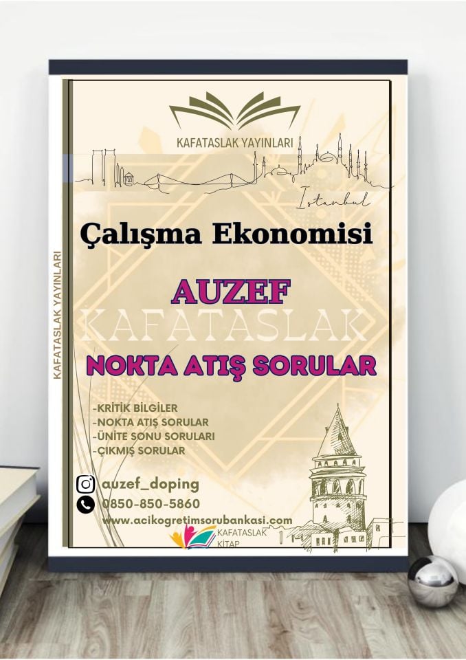 Çalışma Ekonomisi AUZEF İstanbul Üniversitesi Nokta Atışı Sorular Kafataslak Yayınları