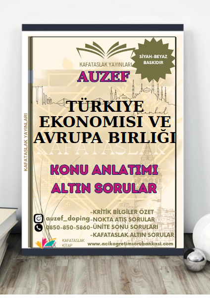 Türkiye Ekonomisi ve Avrupa Birliği AUZEF İstanbul Üniversitesi (VİZE)