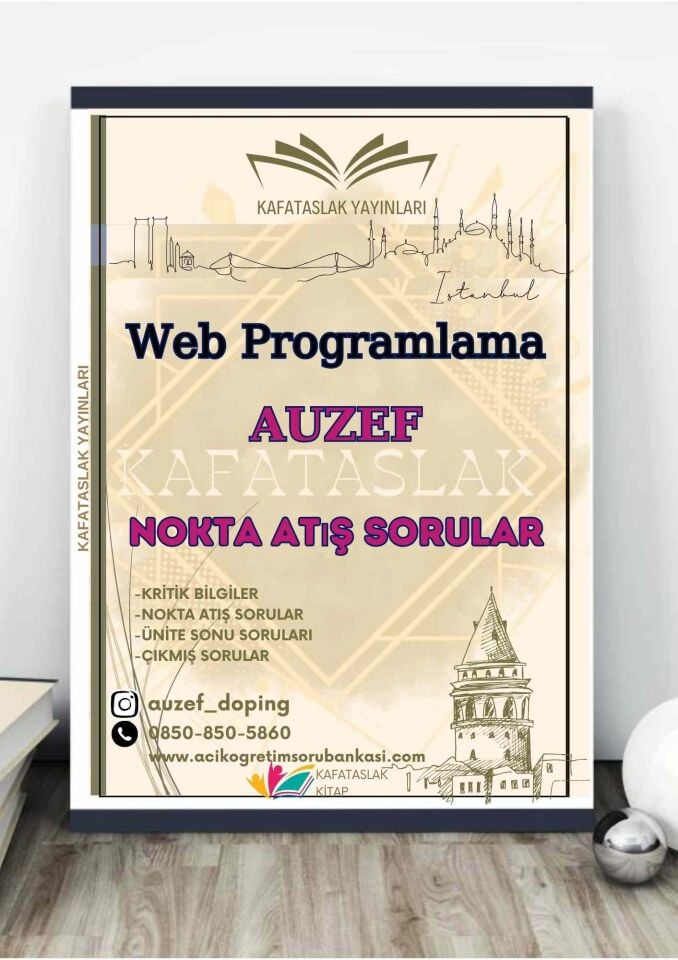 Web Programlama AUZEF Kafataslak Yayınları