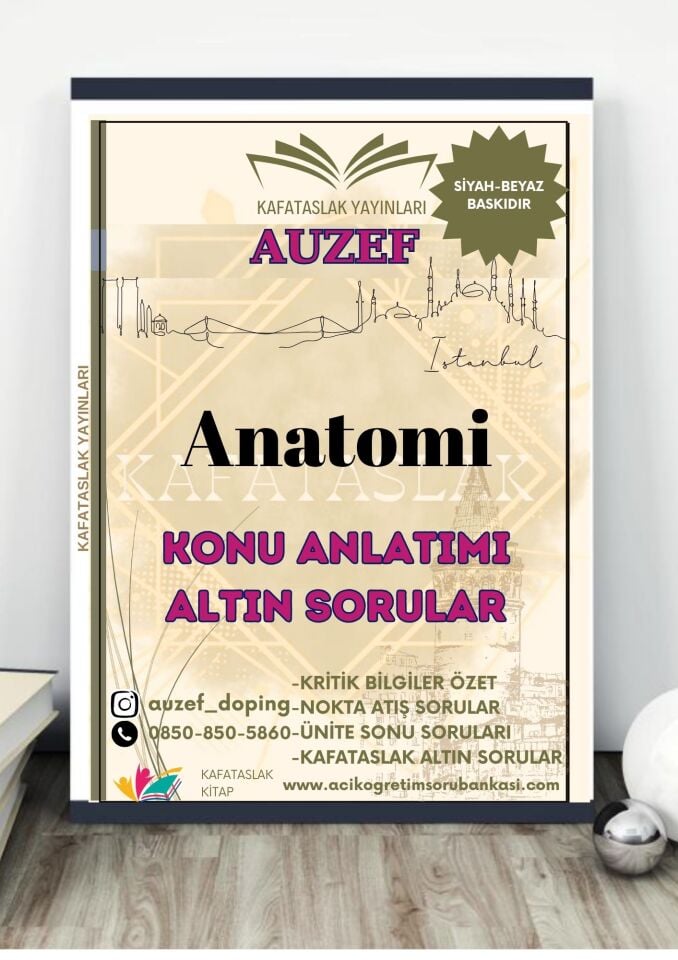 Anatomi AUZEF İstanbul Üniversitesi Nokta Atışı Sorular Kafataslak Yayınları