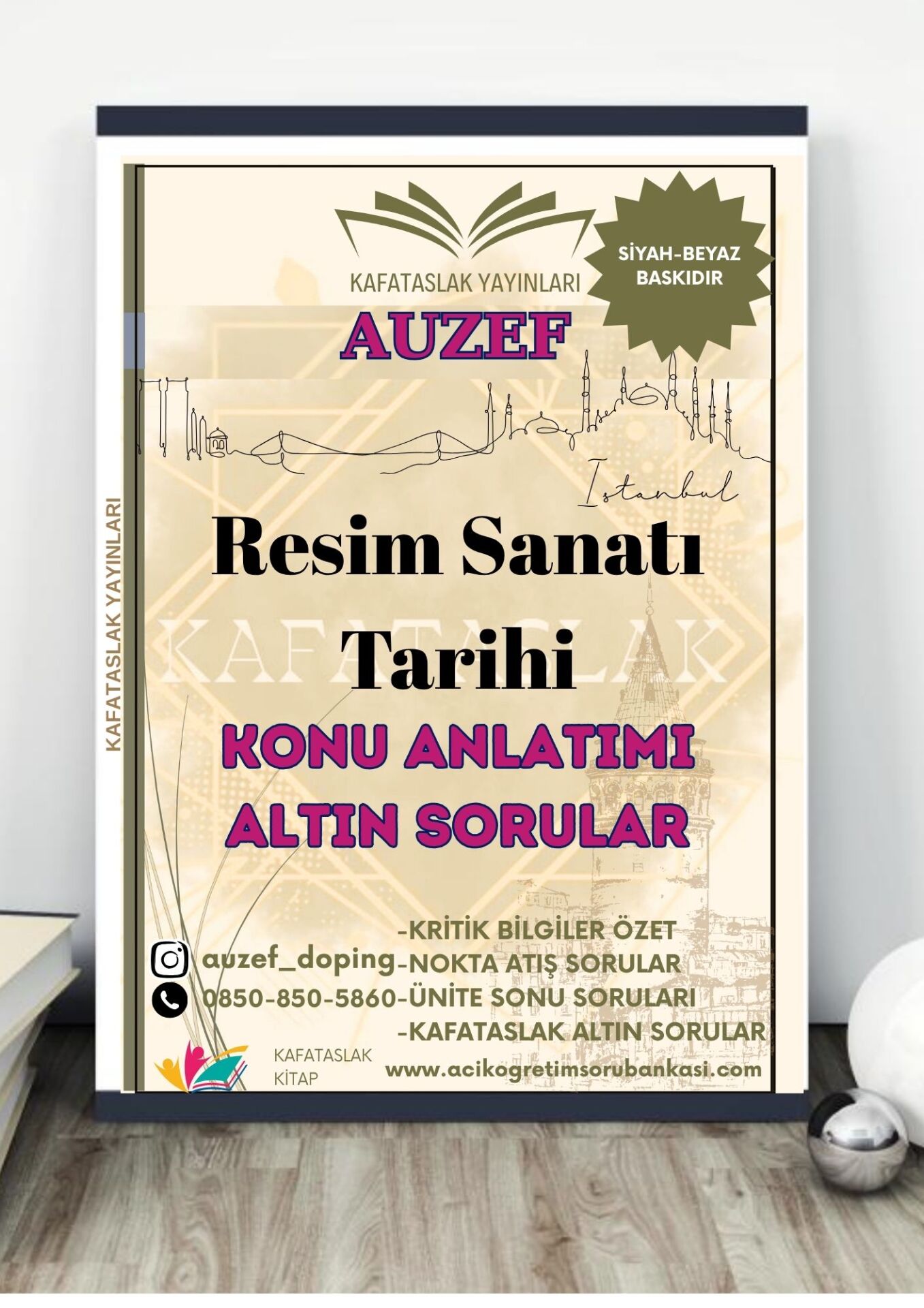 Resim Sanatı Tarihi AUZEF İstanbul Üniversitesi Nokta Atışı Sorular Kafataslak Yayınları