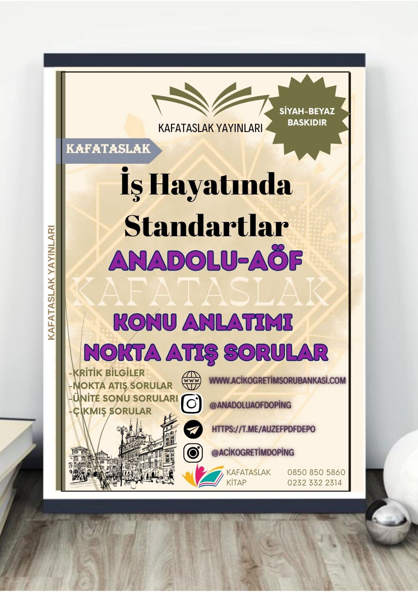 İş Hayatında Standartlar ANADOLU AÖF