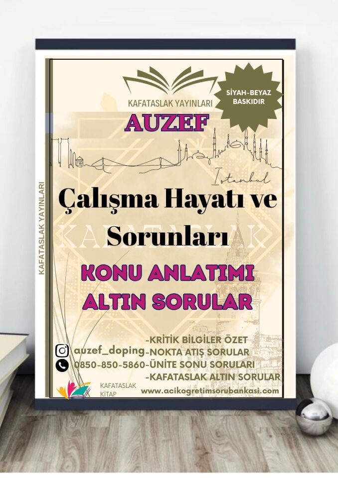 Çalışma Hayatı ve Sorunları (Uluslararası Girişimcilik Lisans) AUZEF İstanbul Üniversitesi (VİZE)