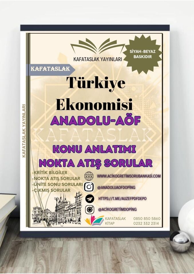 Türkiye Ekonomisi ANADOLU AÖF